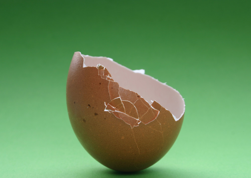 image: Broken Eggshell © Kmitu | Dreamstime Stock Photos