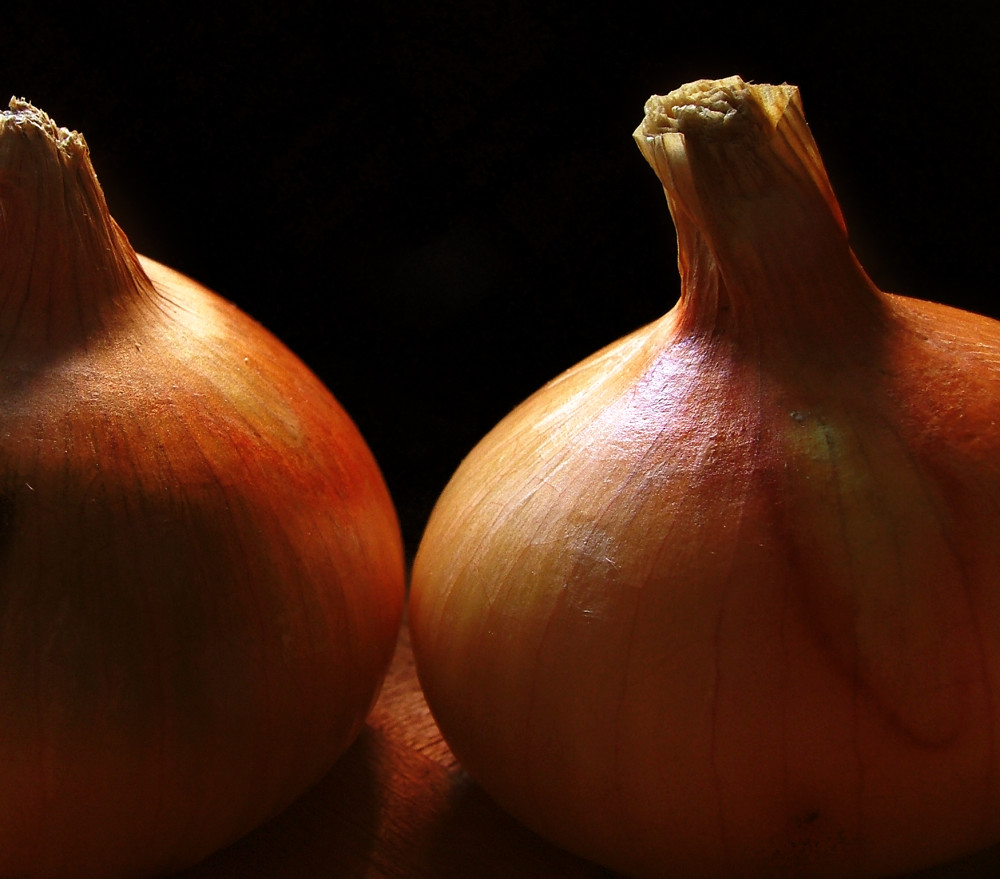 image: Onion Study 1 © Suto Norbert | Dreamstime Stock Photos